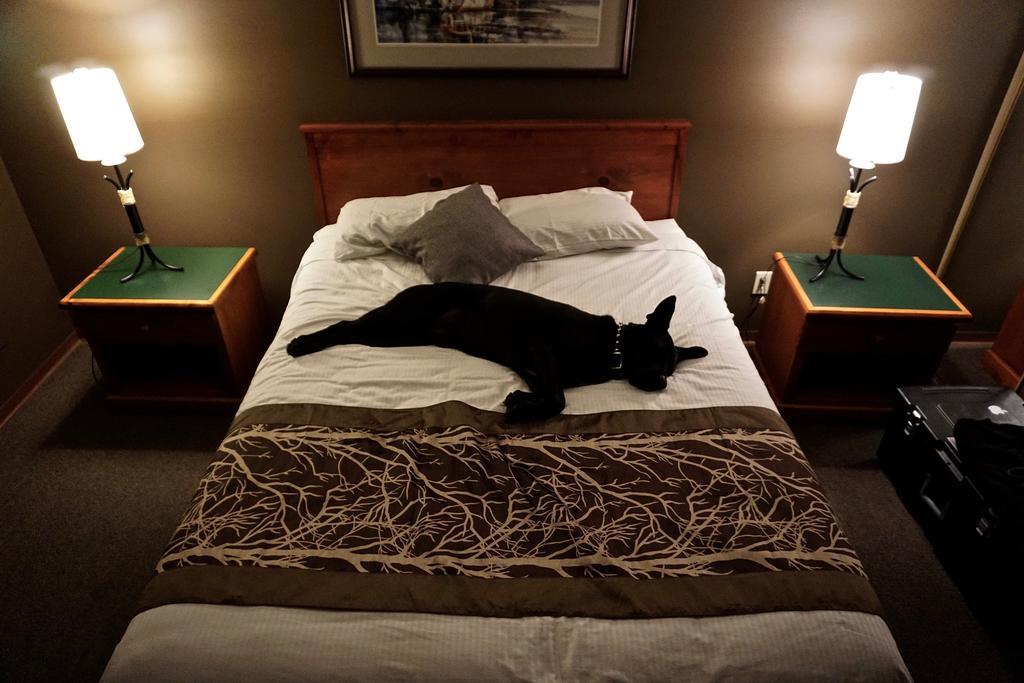 The Bamfield Motel Salmon Beach Екстериор снимка