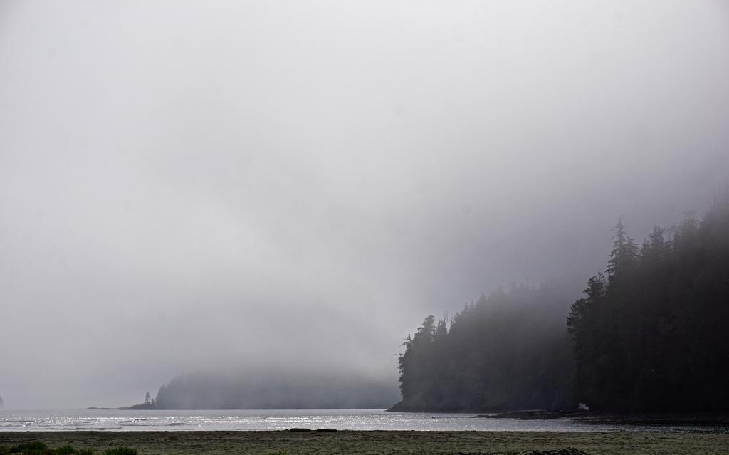 The Bamfield Motel Salmon Beach Екстериор снимка