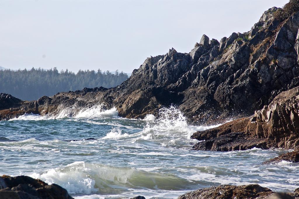 The Bamfield Motel Salmon Beach Екстериор снимка