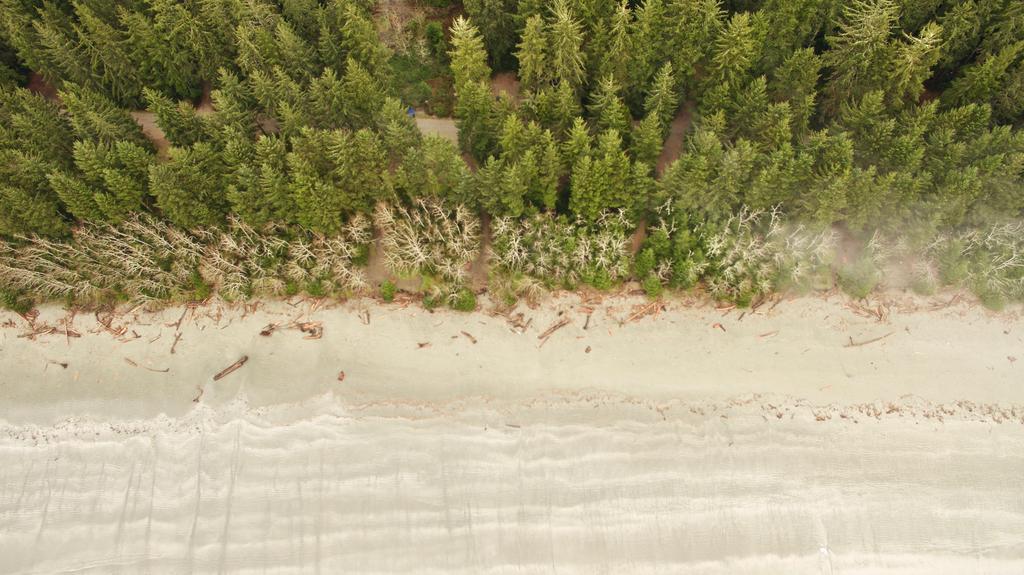 The Bamfield Motel Salmon Beach Екстериор снимка