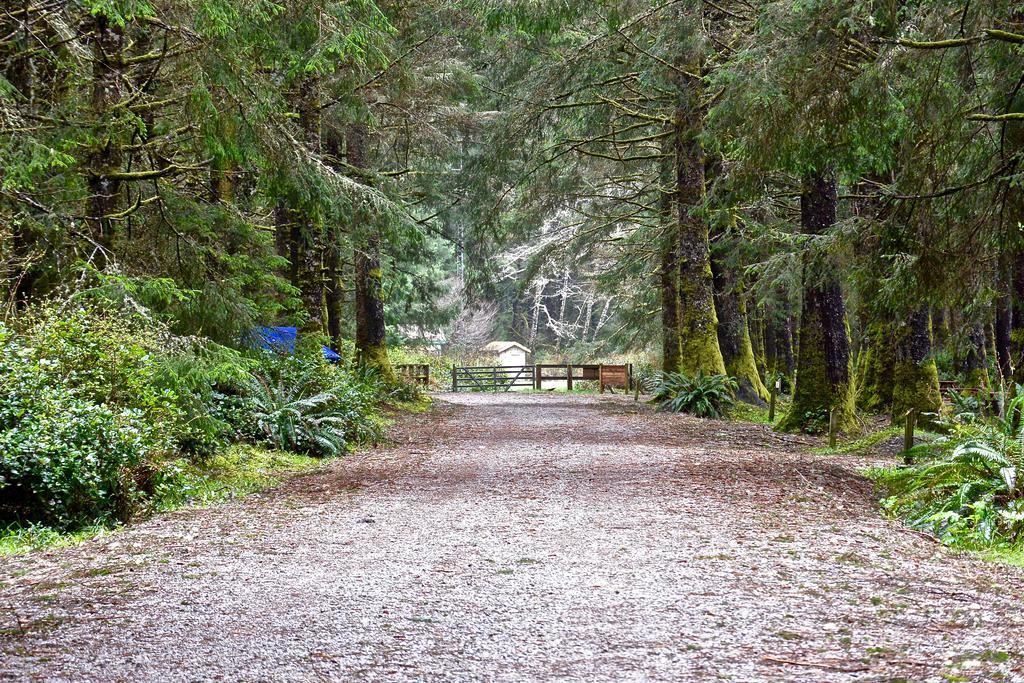 The Bamfield Motel Salmon Beach Екстериор снимка