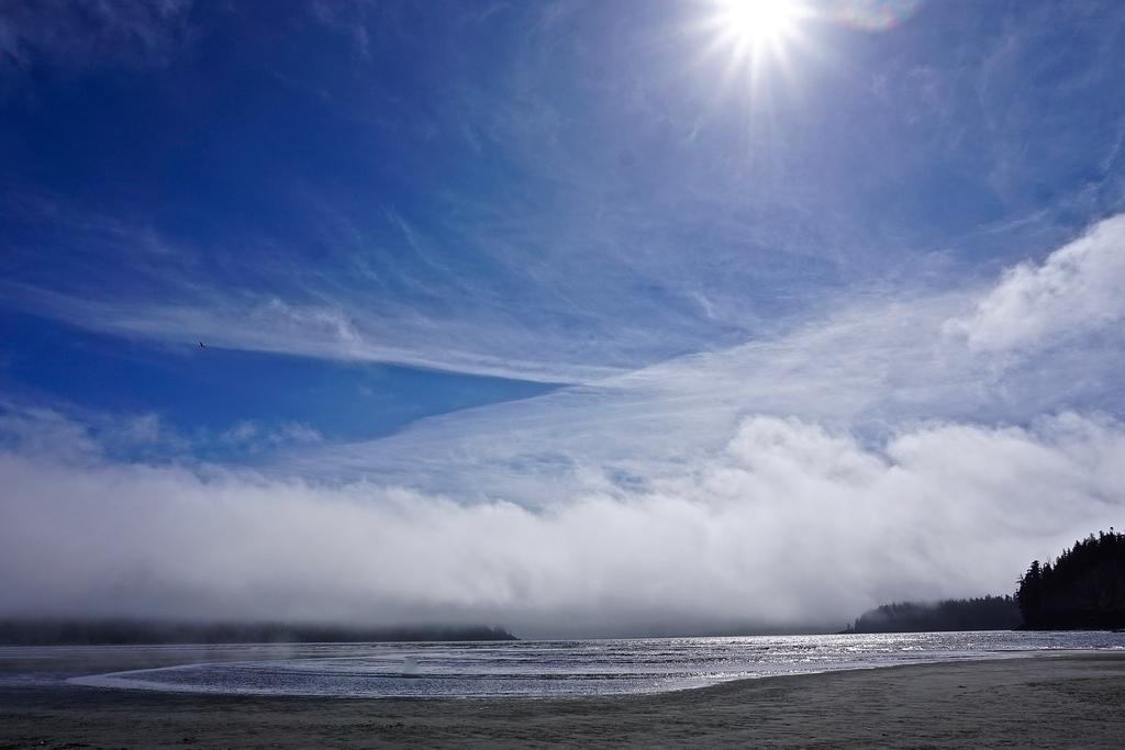 The Bamfield Motel Salmon Beach Екстериор снимка