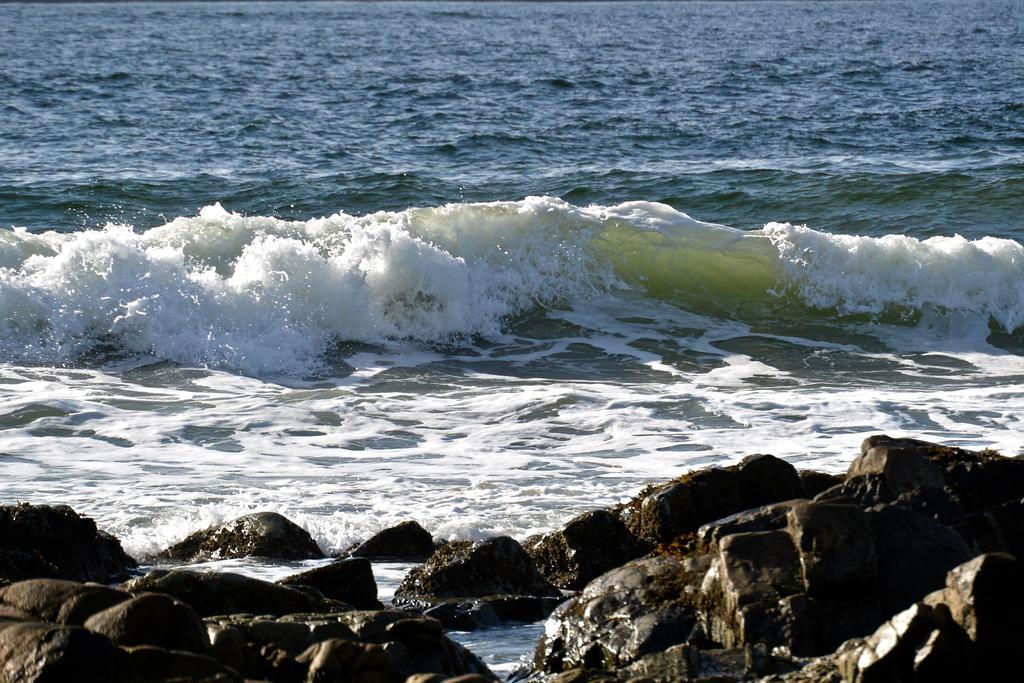 The Bamfield Motel Salmon Beach Екстериор снимка